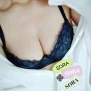 ヒメ日記 2025/04/14 16:30 投稿 そら ぴんくはうす