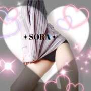 ヒメ日記 2025/04/22 11:50 投稿 そら ぴんくはうす