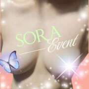 ヒメ日記 2025/06/19 17:00 投稿 そら ぴんくはうす