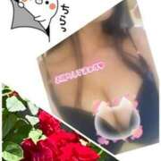 ヒメ日記 2025/09/09 12:00 投稿 そら ぴんくはうす