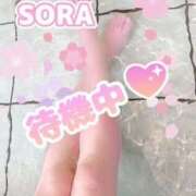 そら 出勤☆ ぴんくはうす