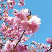 そら 待機☆ ぴんくはうす