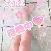 ヒメ日記 2026/08/13 14:07 投稿 そら ぴんくはうす
