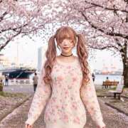 へるつ 山下公園サクラガール 愛秘