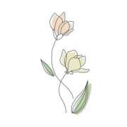 ヒメ日記 2024/12/27 18:28 投稿 かりん まつど女学園