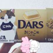 ヒメ日記 2025/03/06 14:09 投稿 かりん まつど女学園