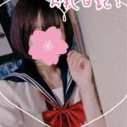 ヒメ日記 2025/04/28 21:50 投稿 かりん まつど女学園