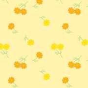 ヒメ日記 2025/09/08 13:00 投稿 かりん まつど女学園