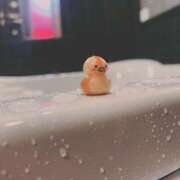 ヒメ日記 2026/04/27 18:27 投稿 かりん まつど女学園