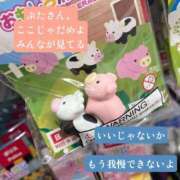 ヒメ日記 2025/01/13 13:31 投稿 チナツ秘書 秘書の品格 クラブアッシュ ヴァリエ