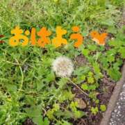 ヒメ日記 2025/05/31 06:06 投稿 フタバ秘書 秘書の品格 クラブアッシュ ヴァリエ