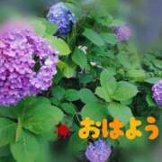 ヒメ日記 2025/06/06 05:30 投稿 フタバ秘書 秘書の品格 クラブアッシュ ヴァリエ