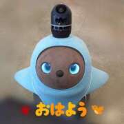 フタバ秘書 🐥💗 秘書の品格 クラブアッシュ ヴァリエ