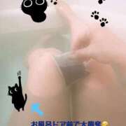 ヒメ日記 2025/01/15 22:10 投稿 ミケ秘書 秘書の品格 クラブアッシュ ヴァリエ