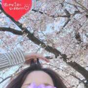 ヒメ日記 2025/04/09 08:14 投稿 ミケ秘書 秘書の品格 クラブアッシュ ヴァリエ