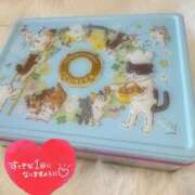 ヒメ日記 2025/04/17 08:31 投稿 ミケ秘書 秘書の品格 クラブアッシュ ヴァリエ