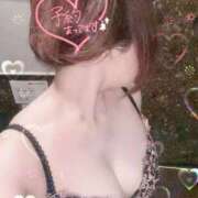 ヒメ日記 2025/06/01 11:58 投稿 ミケ秘書 秘書の品格 クラブアッシュ ヴァリエ