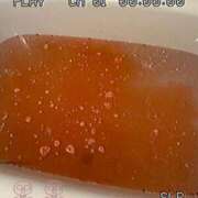 ヒメ日記 2025/07/24 01:58 投稿 ミケ秘書 秘書の品格 クラブアッシュ ヴァリエ