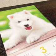 ヒメ日記 2024/12/30 23:25 投稿 ゆり 谷町人妻ゴールデン倶楽部