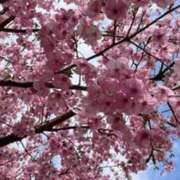 ヒメ日記 2025/03/30 01:30 投稿 ゆり 谷町人妻ゴールデン倶楽部