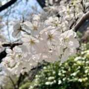 ヒメ日記 2025/04/06 01:45 投稿 ゆり 谷町人妻ゴールデン倶楽部