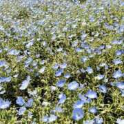 ヒメ日記 2025/05/09 23:40 投稿 ゆり 谷町人妻ゴールデン倶楽部