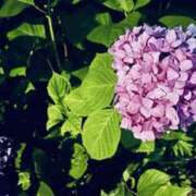 ヒメ日記 2025/06/08 23:00 投稿 ゆり 谷町人妻ゴールデン倶楽部