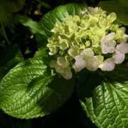 ヒメ日記 2025/06/15 16:25 投稿 ゆり 谷町人妻ゴールデン倶楽部