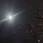 ヒメ日記 2026/01/25 23:35 投稿 ゆり 谷町人妻ゴールデン倶楽部