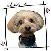 ヒメ日記 2025/07/01 15:22 投稿 ノア OLの品格 クラブアッシュ