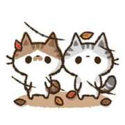 ヒメ日記 2024/12/22 11:44 投稿 浅田ほのか 五十路マダム 浜松店(カサブランカグループ)