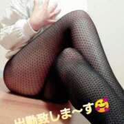 ヒメ日記 2025/03/29 16:16 投稿 浅田ほのか 五十路マダム 浜松店(カサブランカグループ)