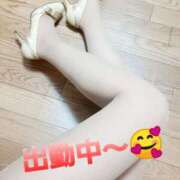 ヒメ日記 2025/04/07 15:12 投稿 浅田ほのか 五十路マダム 浜松店(カサブランカグループ)