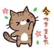 ヒメ日記 2025/04/15 12:32 投稿 浅田ほのか 五十路マダム 浜松店(カサブランカグループ)