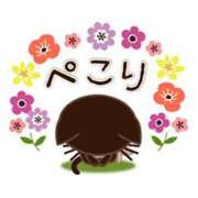 ヒメ日記 2025/04/20 12:36 投稿 浅田ほのか 五十路マダム 浜松店(カサブランカグループ)