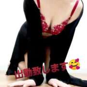 ヒメ日記 2025/04/28 14:10 投稿 浅田ほのか 五十路マダム 浜松店(カサブランカグループ)