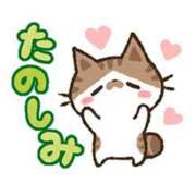 ヒメ日記 2025/05/13 11:40 投稿 浅田ほのか 五十路マダム 浜松店(カサブランカグループ)