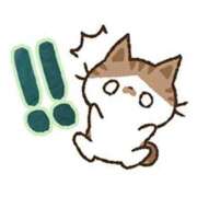 ヒメ日記 2025/05/23 12:00 投稿 浅田ほのか 五十路マダム 浜松店(カサブランカグループ)