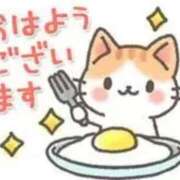 ヒメ日記 2025/11/16 09:48 投稿 浅田ほのか 五十路マダム 浜松店(カサブランカグループ)