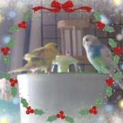 ヒメ日記 2024/12/16 12:45 投稿 みわこ 新宿・新大久保おかあさん