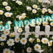 ヒメ日記 2024/12/18 09:25 投稿 みわこ 新宿・新大久保おかあさん