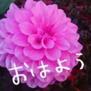 ヒメ日記 2024/12/28 07:45 投稿 みわこ 新宿・新大久保おかあさん