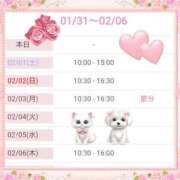 ヒメ日記 2025/01/31 17:55 投稿 みわこ 新宿・新大久保おかあさん