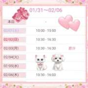 ヒメ日記 2025/01/31 17:54 投稿 みわこ 新宿・新大久保おかあさん