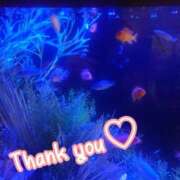 ヒメ日記 2025/02/24 11:50 投稿 みわこ 新宿・新大久保おかあさん