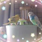 ヒメ日記 2025/03/08 10:14 投稿 みわこ 新宿・新大久保おかあさん