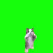 ヒメ日記 2025/03/10 11:28 投稿 みわこ 新宿・新大久保おかあさん