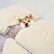 ヒメ日記 2025/03/11 11:39 投稿 みわこ 新宿・新大久保おかあさん