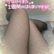 ヒメ日記 2025/03/17 07:40 投稿 みわこ 新宿・新大久保おかあさん