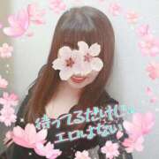 ヒメ日記 2025/03/25 08:40 投稿 みわこ 新宿・新大久保おかあさん